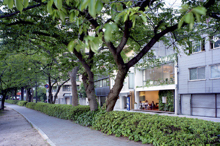 BEAUX RAISINS Salon de cafe salon de cafeの内装・外装画像