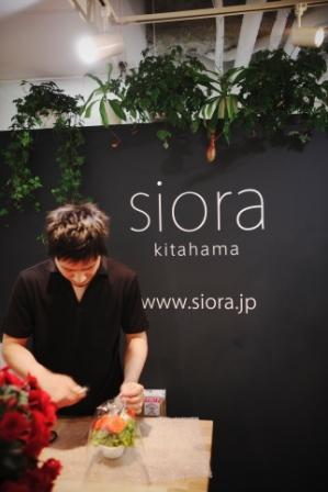 siora