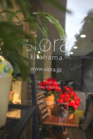 siora