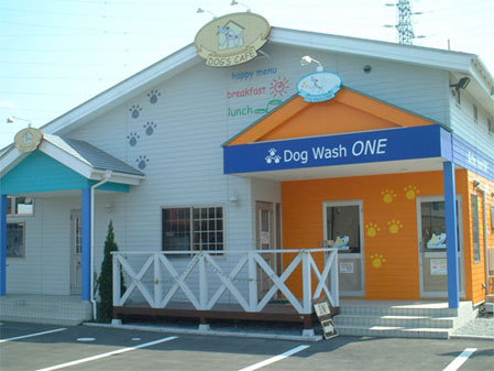 Dog Cafe Andy'sHouse(ドッグカフェアンディーハウス) ドッグカフェの内装・外装画像