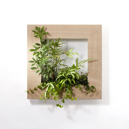 PIANTA×STANZA MY GALLERY