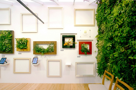 PIANTA×STANZA MY GALLERY
