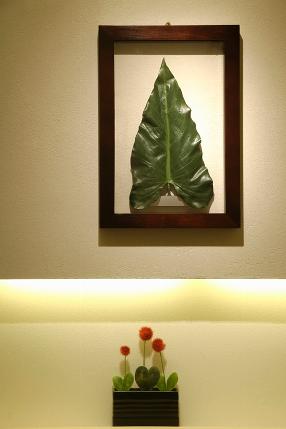 HEART LEAF CAFE - SUNSHOW -