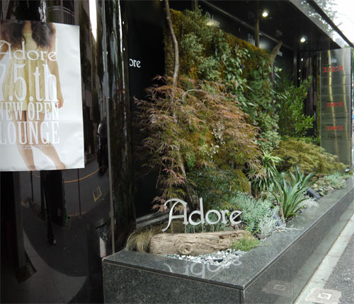 Adore
