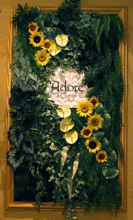 Adore