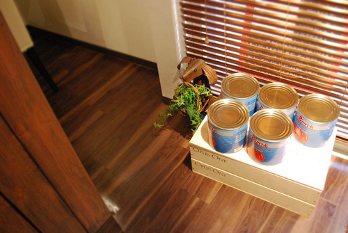Italian Dining Luce - SUNSHOW -