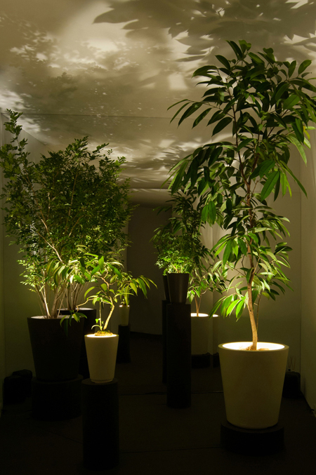 PIANTA×STANZA Forestarium