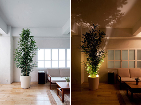 PIANTA×STANZA Forestarium