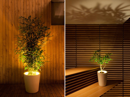 PIANTA×STANZA Forestarium