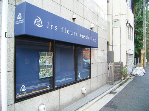 les fleurs ensoleillees - SUNSHOW -