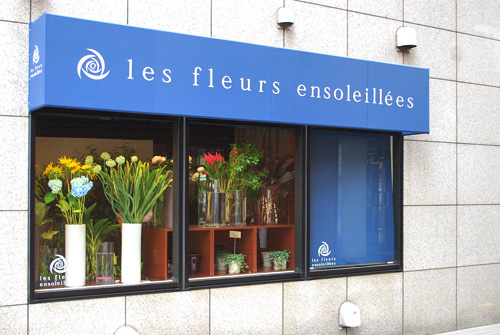 les fleurs ensoleillees - SUNSHOW -