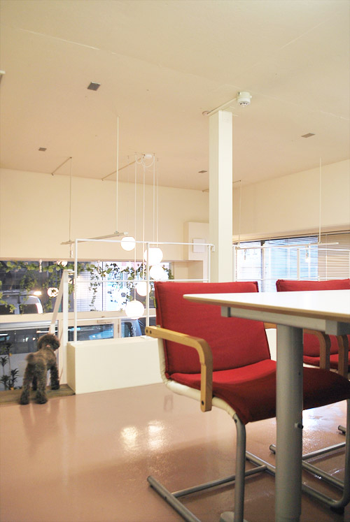 CHARLIE HOME/CHARLIE FARM office - SUNSHOW -