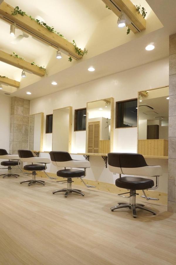 Ludus hair design