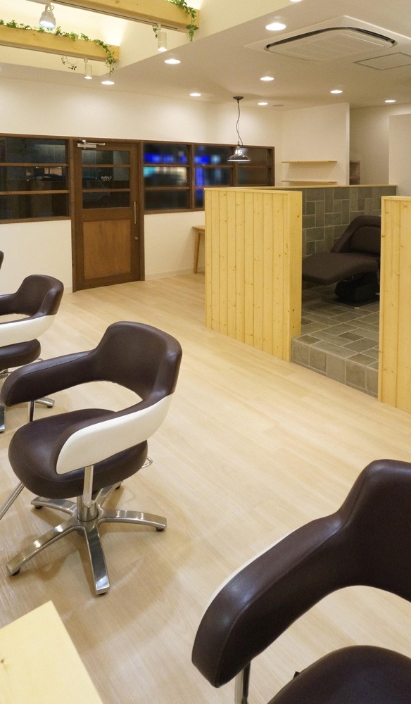 Ludus hair design