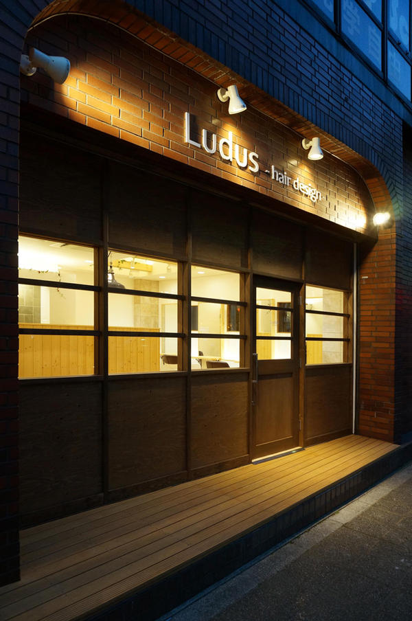 Ludus hair design
