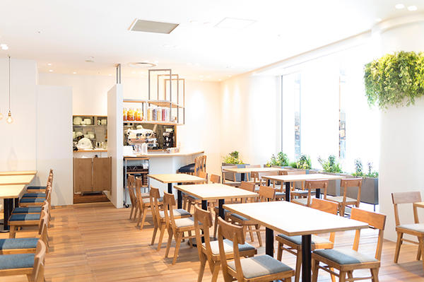 1LDK terrace