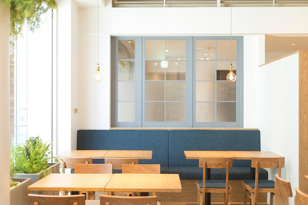 1LDK terrace