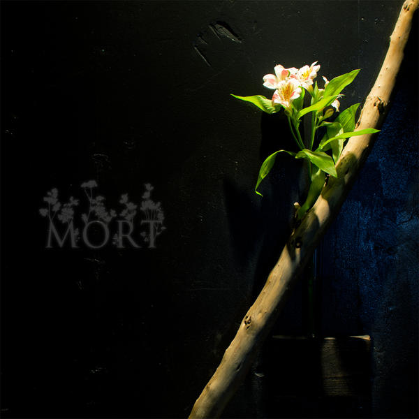 BAR MORT
