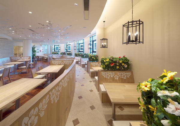 Cafe Kaila -Hibiscus Hall-