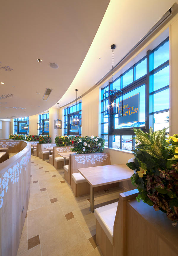 Cafe Kaila -Hibiscus Hall-