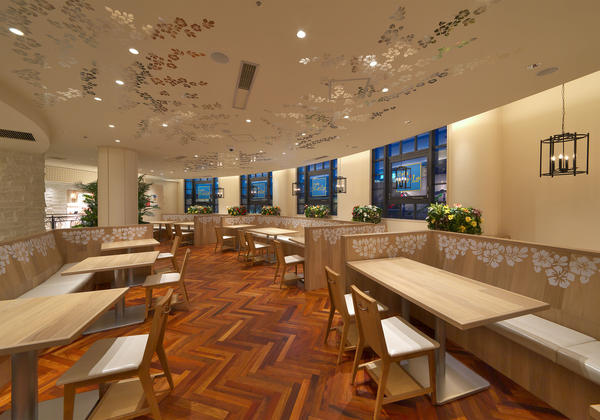 Cafe Kaila -Hibiscus Hall-