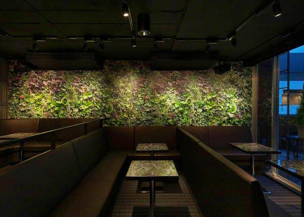 TERRACE VICTORIA バーの内装・外観画像