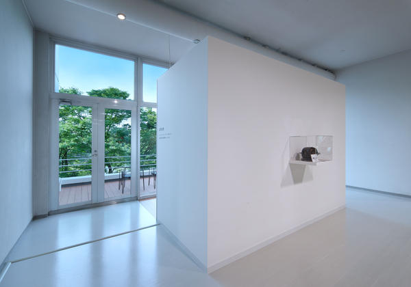 OSADA Simulation