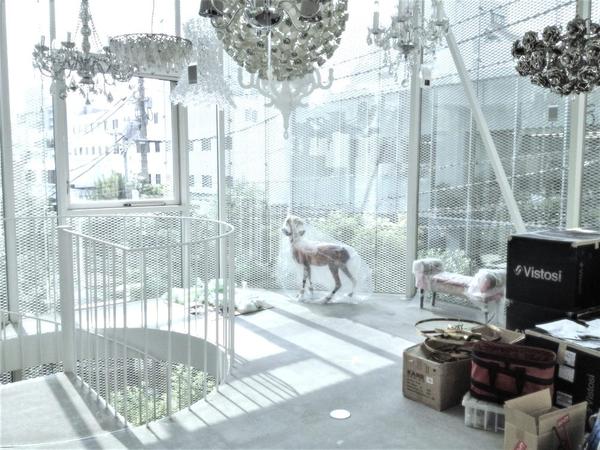 Aoyama showroom