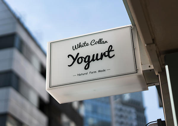 White Collor Yogurt 様