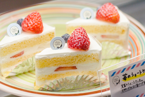 Patisserie Chats Lettre