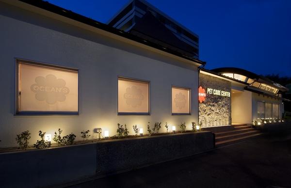 OCAN'S DOG DENTAL CLINIC