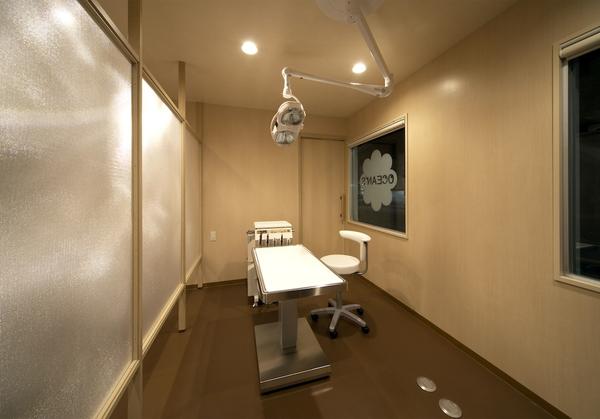 OCAN'S DOG DENTAL CLINIC