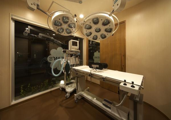 OCAN'S DOG DENTAL CLINIC
