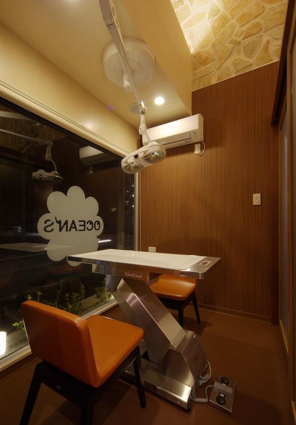 OCAN'S DOG DENTAL CLINIC