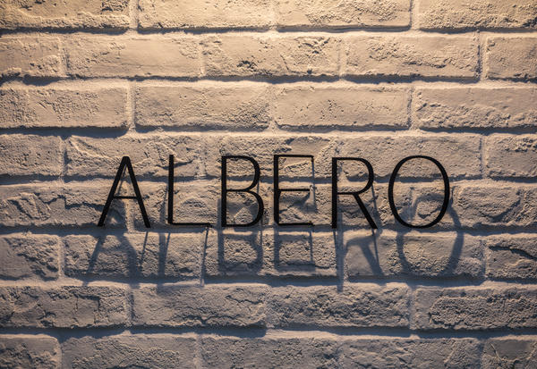 ALBERO