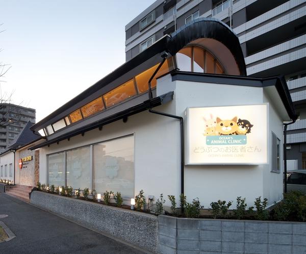 OCAEN'S ANIMAL CLINIC