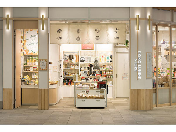 KOKO LUMINE STORE