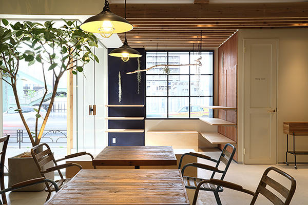 shiny owl cafe