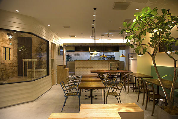 shiny owl cafe