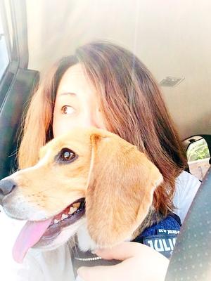 佐藤亜美の写真