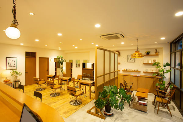 HAIR OASIS BIOTOPE SUN