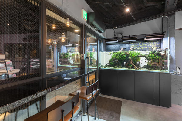 MEAT & DELI 355