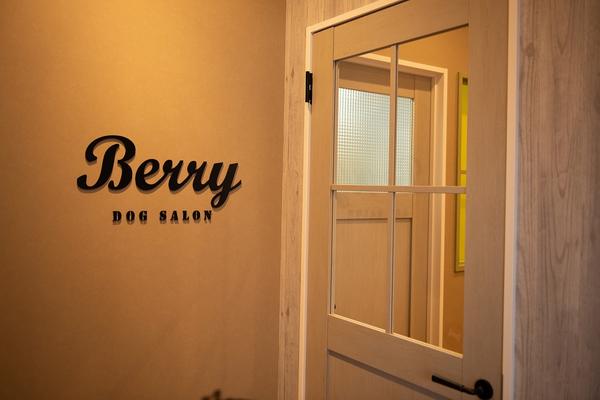 DOG SALON Berry