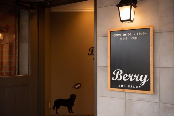 DOG SALON Berry