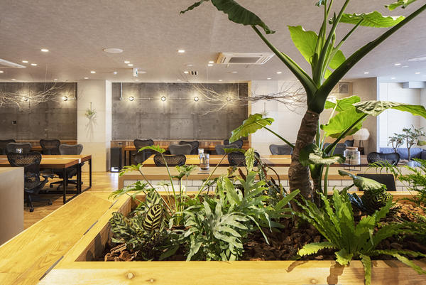 the KAIDAN fujisawa
