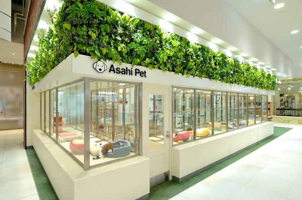 PETPARADISE DX