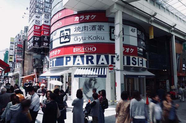 PETPARADISE 吉祥寺店 ペット雑貨の内装・外観画像