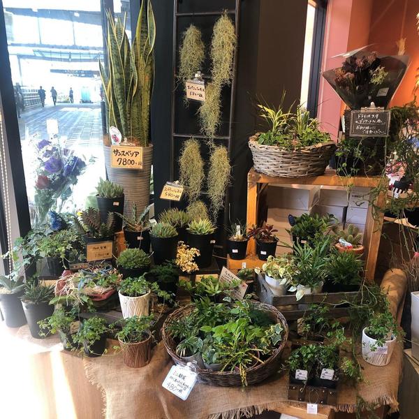 fleur message 南町田店