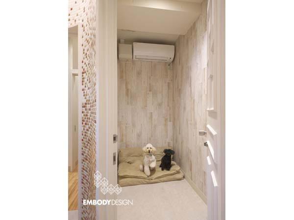 fido dog care