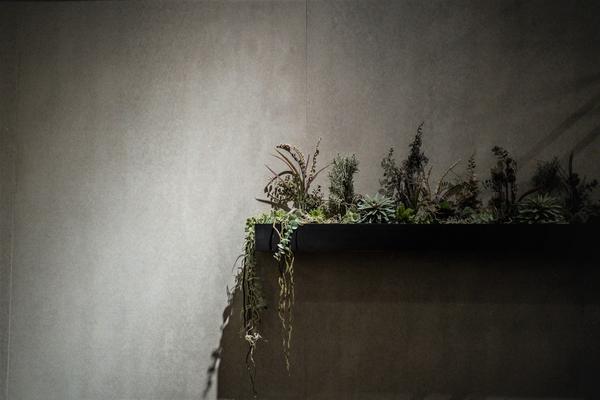 CAFE&WEDDING 22 リニューアル カフェ、イベントスペースの内装・外観画像